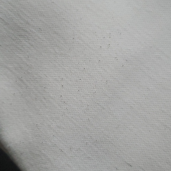 ๐ HOST PICK ๐ Sandra Angelozzi Ankle Pants - Picture 12 of 14